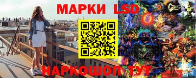 стаф Будённовск