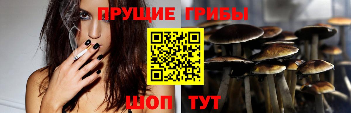 Петрозаводск  Псилоцибиновые грибы Psilocybe  Вход с VPN  Псилоцибиновые грибы GOLDEN TEACHER 